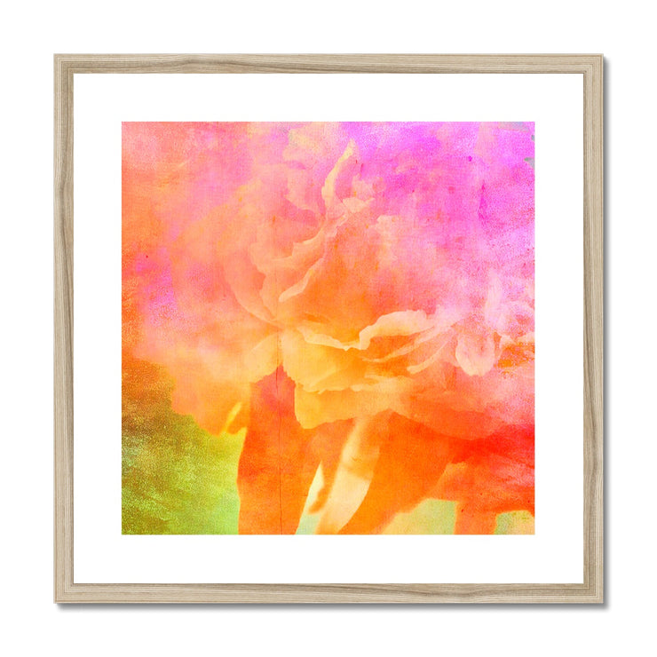 Peony C2 Framed & Mounted Print