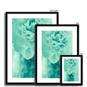 Peony G5 Framed & Mounted Print