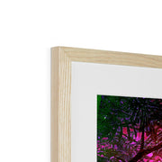 Albizia Tree A10 Framed & Mounted Print