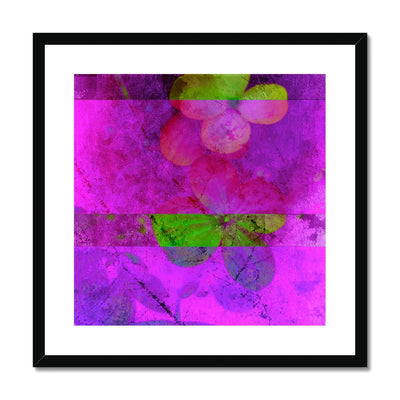 Hydrangea D1 Framed & Mounted Print