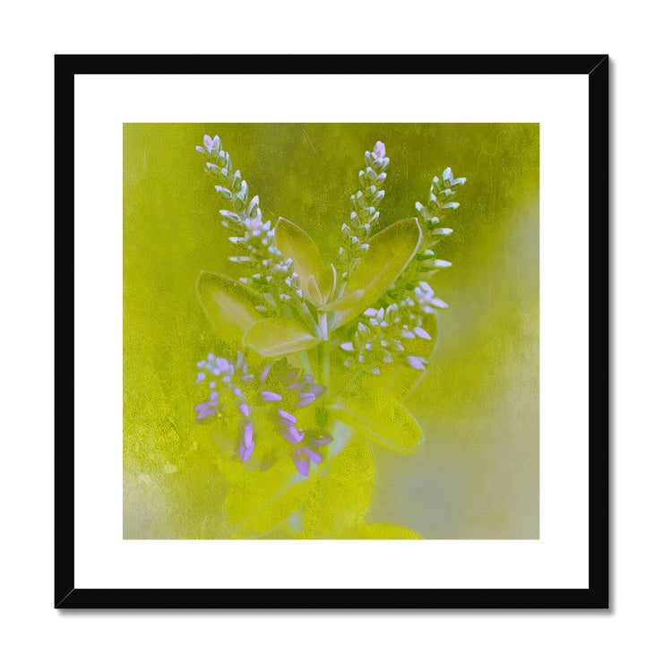 Lilac A5 Framed & Mounted Print