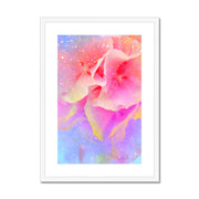 Hydrangea A3 Framed & Mounted Print