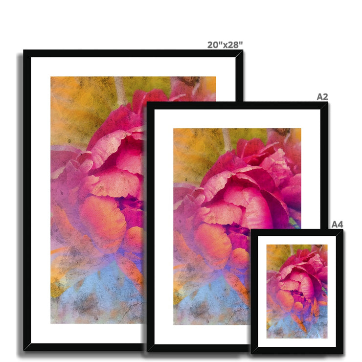 Peony E1 Framed & Mounted Print