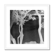 Price Lake B1 Framed & Mounted Print