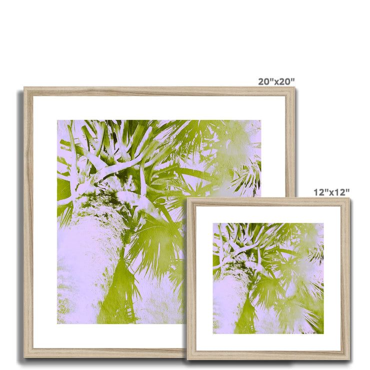 Palm Tree B2 Framed & Mounted Print