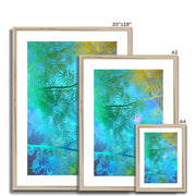 Albizia Tree A6 Framed & Mounted Print