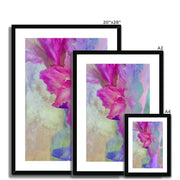 Gladiolas A1 Framed & Mounted Print