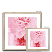 Peony G4 Framed & Mounted Print