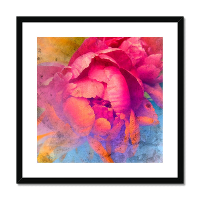 Peony E1 Framed & Mounted Print