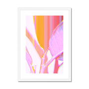 Rubber Tree A2 Framed & Mounted Print