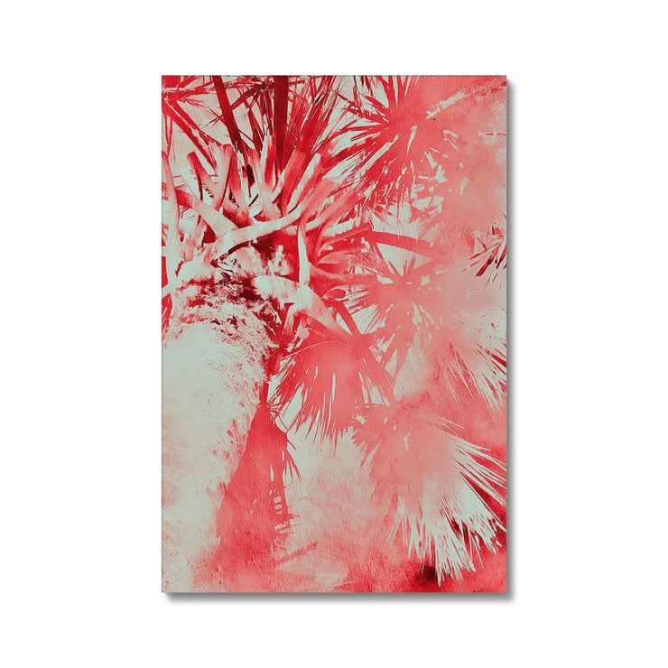 Palm Tree B6 Canvas