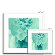 Peony G5 Framed & Mounted Print