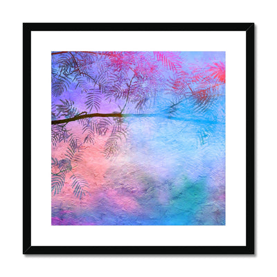 Albizia Tree B1 Framed & Mounted Print