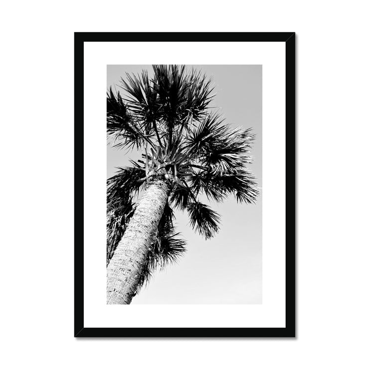 Palm Tree E2 Framed & Mounted Print