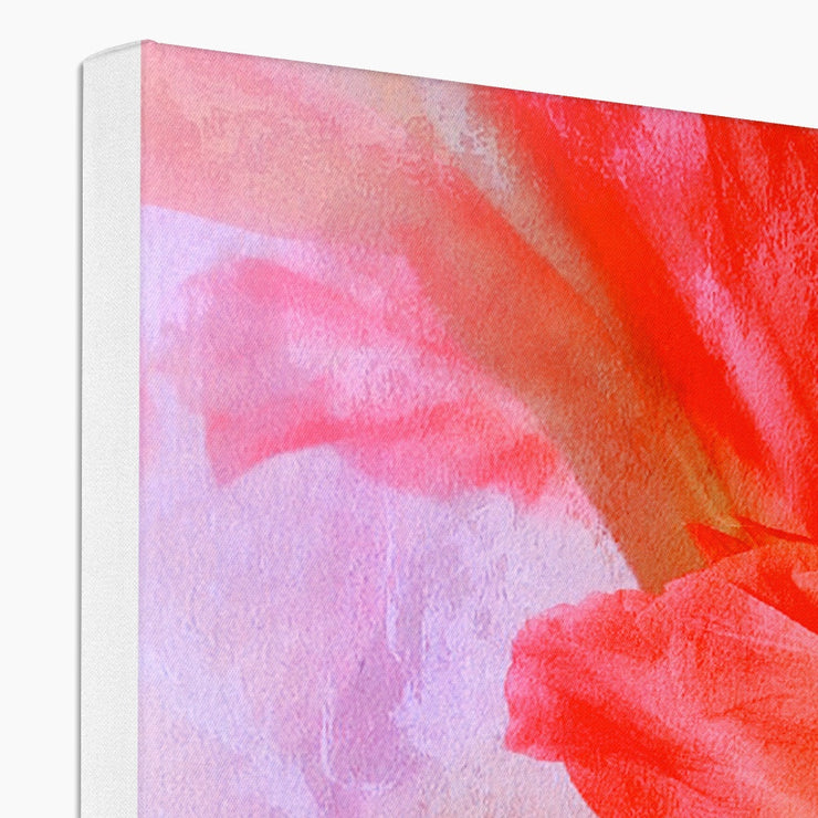 Gladiolas A2 Canvas