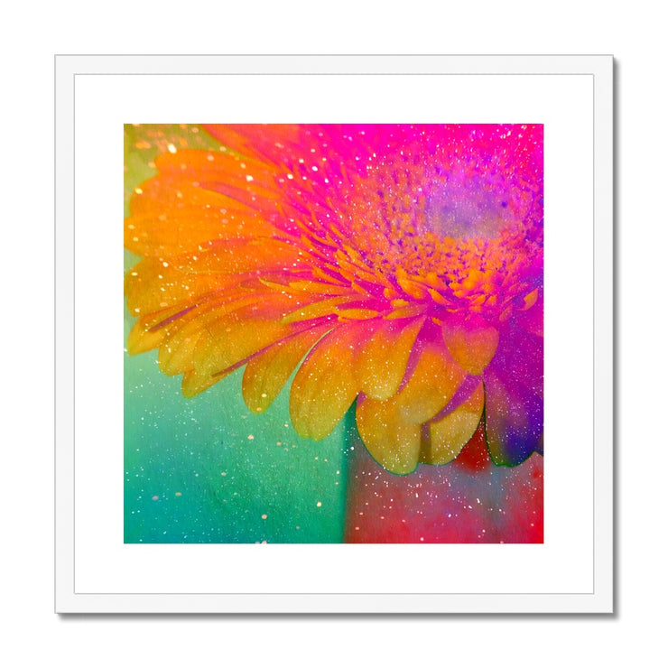 Gerbera B3 Framed & Mounted Print