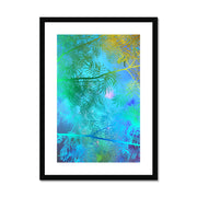 Albizia Tree A6 Framed & Mounted Print