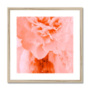 Peony G3 Framed & Mounted Print