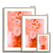 Peony G3 Framed & Mounted Print