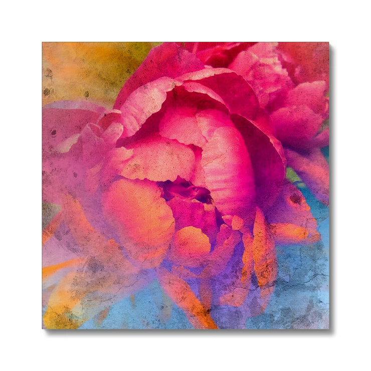 Peony E1 Canvas