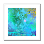 Albizia Tree A6 Framed & Mounted Print