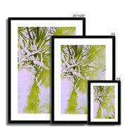 Palm Tree B2 Framed & Mounted Print