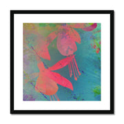 Fuchsias B1 Framed & Mounted Print