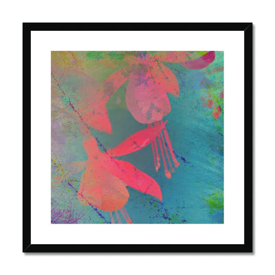 Fuchsias B1 Framed & Mounted Print