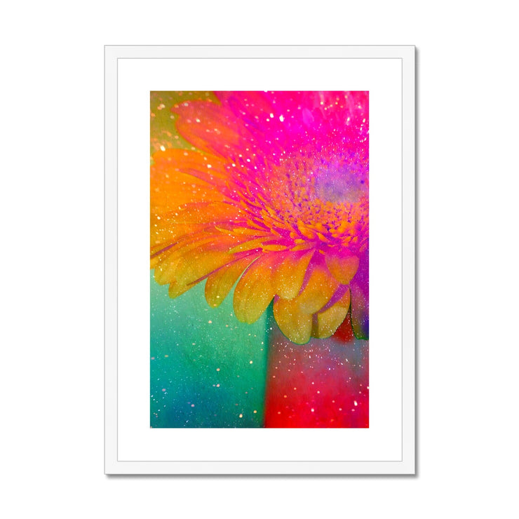 Gerbera B3 Framed & Mounted Print