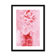 Peony G4 Framed & Mounted Print