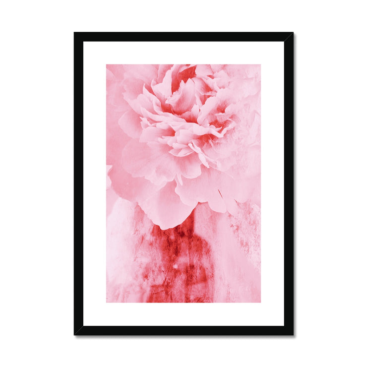 Peony G4 Framed & Mounted Print