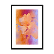 White Phoenix A1 Framed & Mounted Print