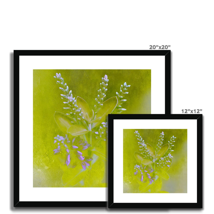 Lilac A5 Framed & Mounted Print