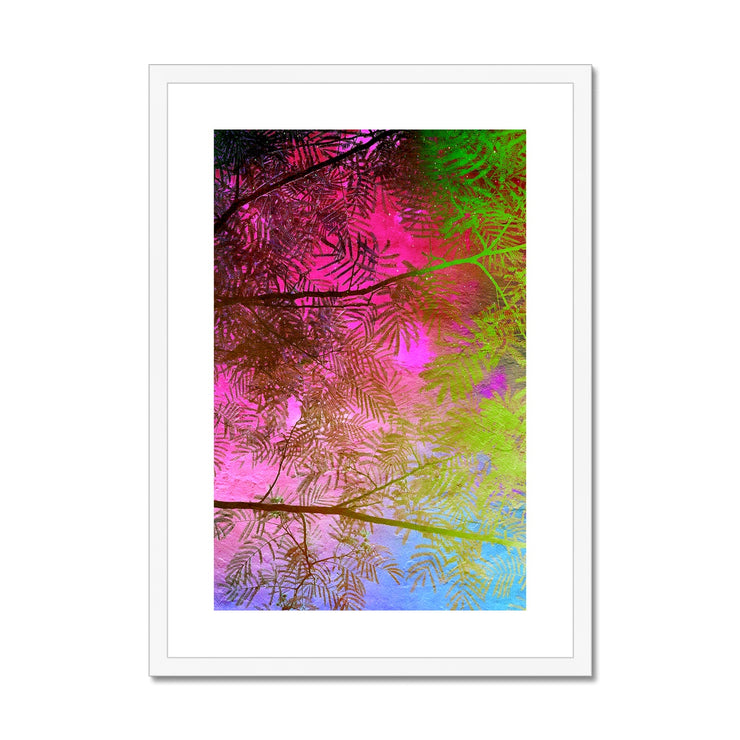 Albizia Tree A10 Framed & Mounted Print