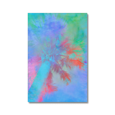 Palm Tree C1 Canvas