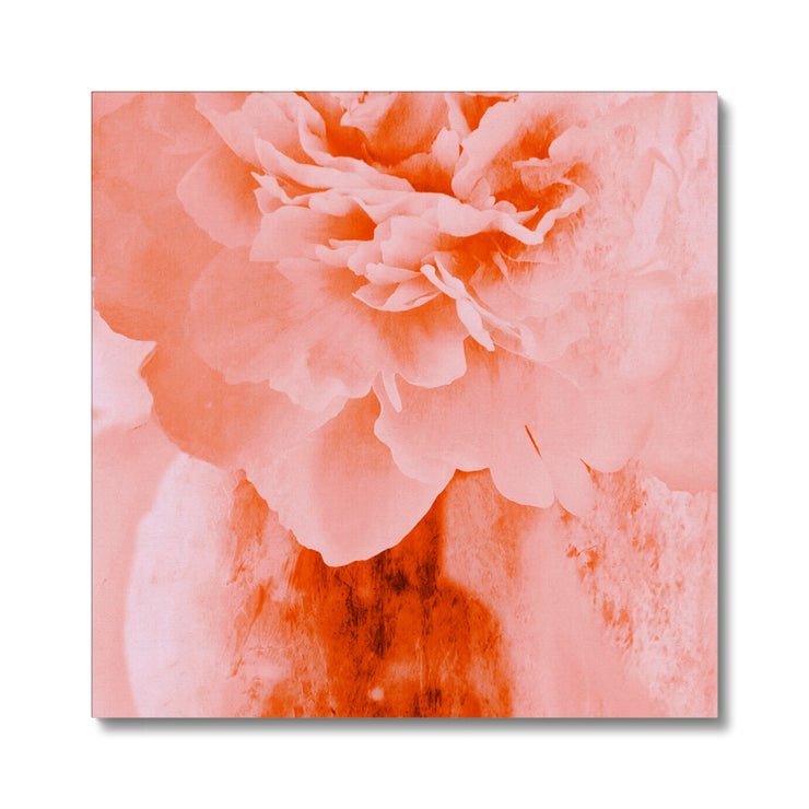 Peony G3 Canvas