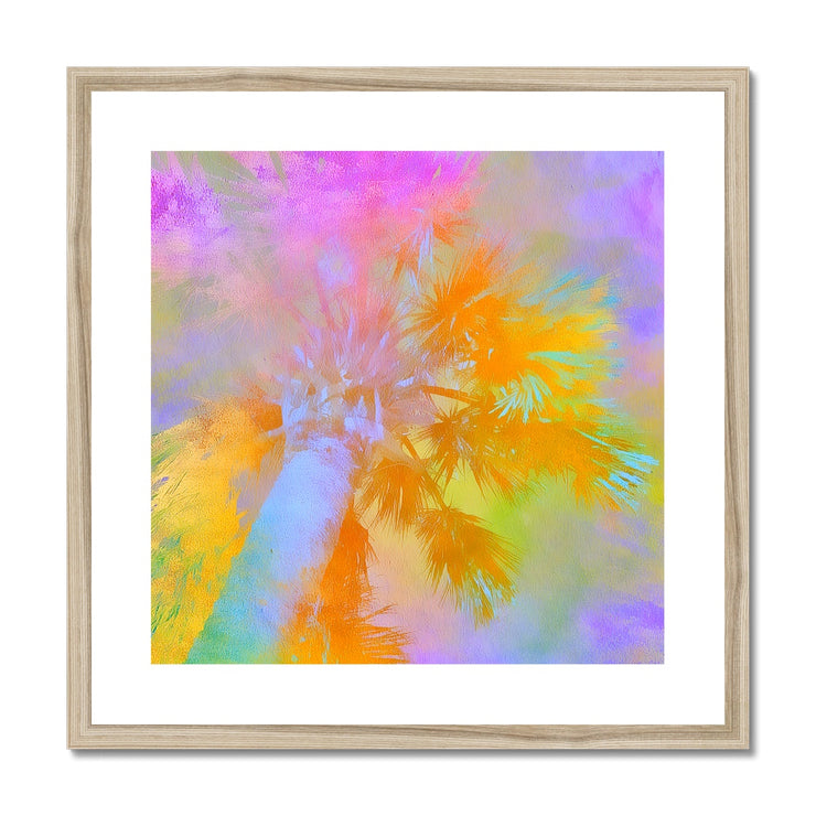 Palm Tree C2 Framed & Mounted Print