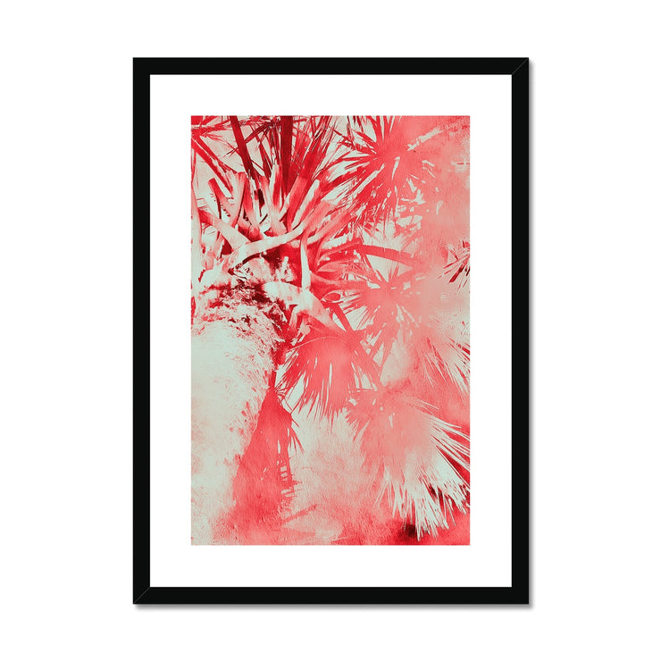 Palm Tree B6 Framed & Mounted Print