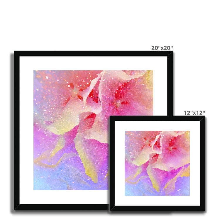 Hydrangea A3 Framed & Mounted Print