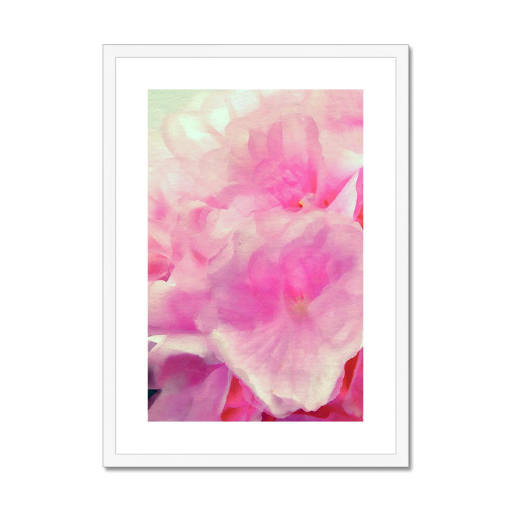 Hydrangea C2 Framed & Mounted Print