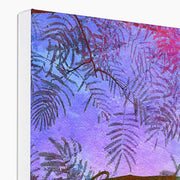 Albizia Tree B1 Canvas