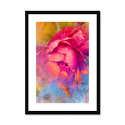 Peony E1 Framed & Mounted Print