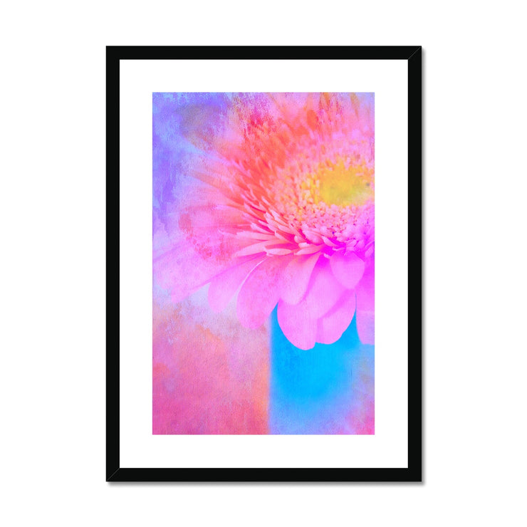 Gerbera B1 Framed & Mounted Print