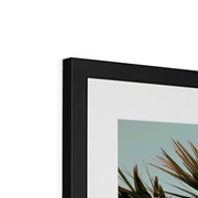 Palm Tree E1 Framed & Mounted Print