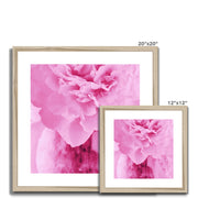 Peony G6 Framed & Mounted Print