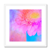 Gerbera B1 Framed & Mounted Print