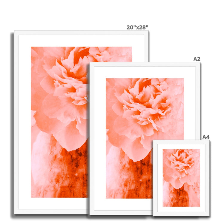 Peony G3 Framed & Mounted Print