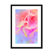 Hydrangea A3 Framed & Mounted Print