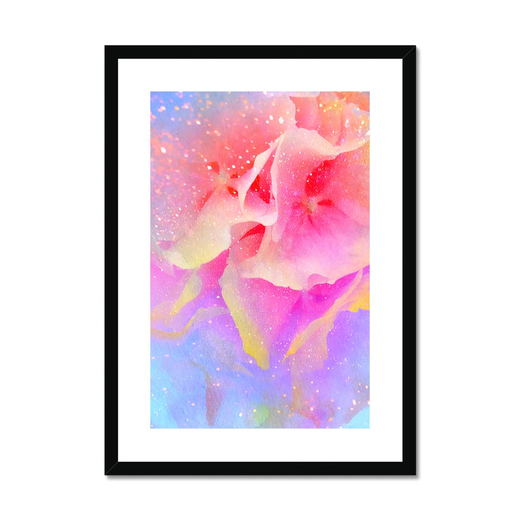 Hydrangea A3 Framed & Mounted Print