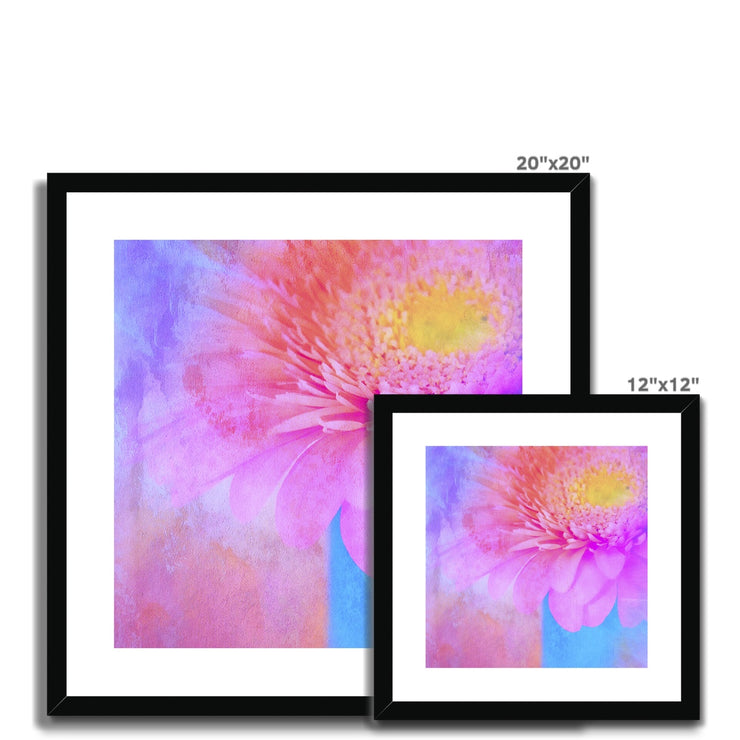 Gerbera B1 Framed & Mounted Print